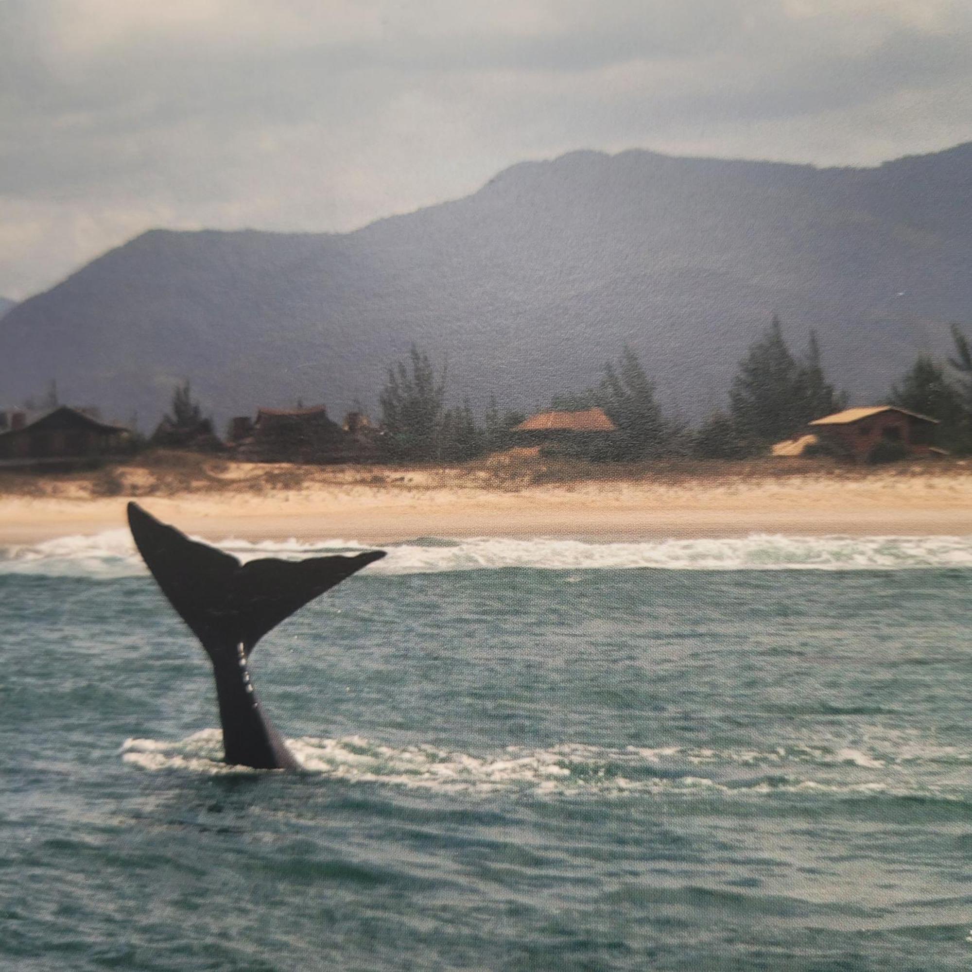 Pousada Paraiso 26 Imbituba  Bagian luar foto